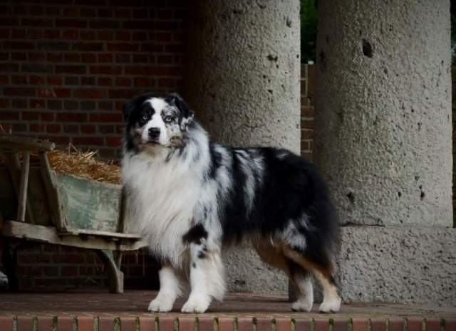 FB_IMG_1591294473263