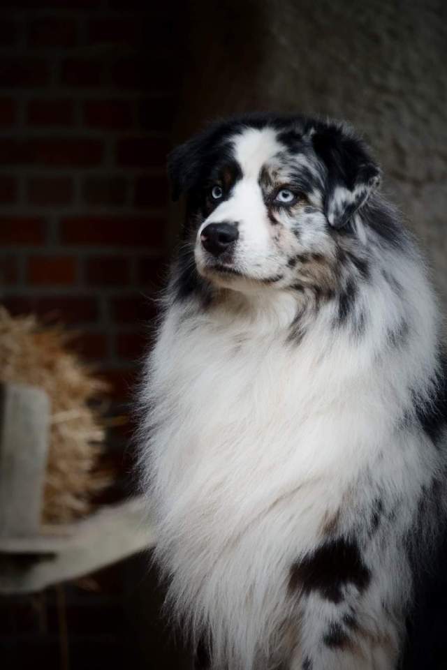 FB_IMG_1591294481848