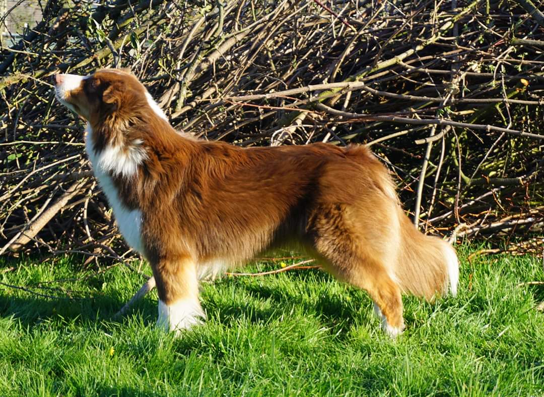 FB_IMG_1591294602345