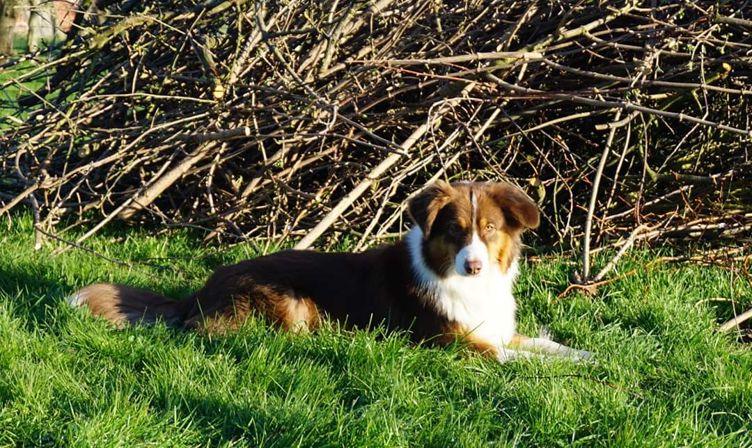 FB_IMG_1591294618452