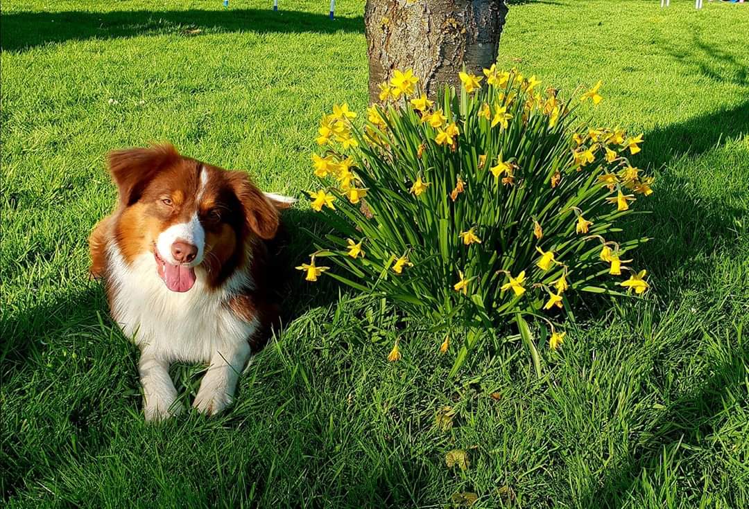 FB_IMG_1591294629097